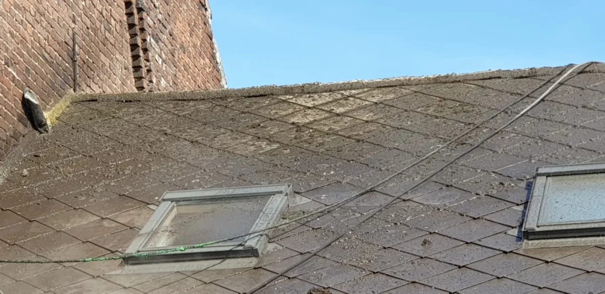Fenêtres de toit sur toiture en tuiles — ZD Habitat Sur